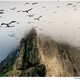 Image for article titled A Journey To Scotland Reveals The True Inspiration For Avatar's Pandora